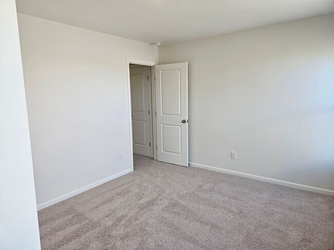 Building Photo - Brand new 3 bedroom, 2.5 bath Hampstead ho...