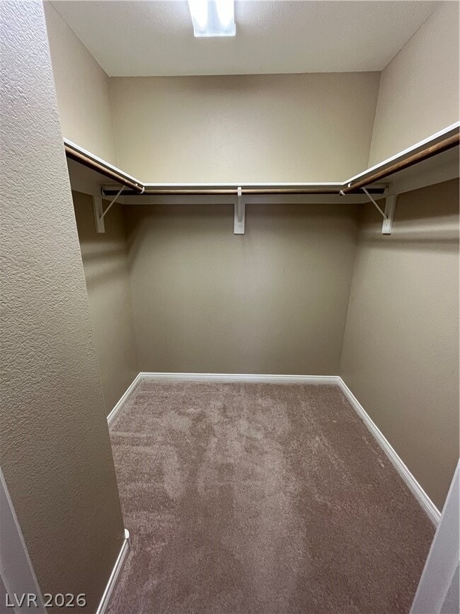 Building Photo - 5532 Madigan Ct