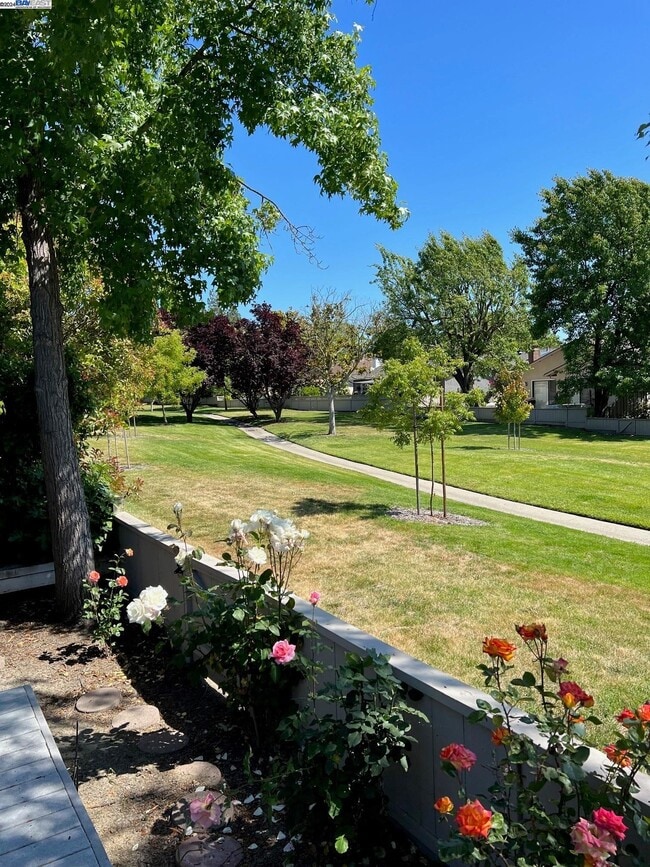 Building Photo - 535 Cambrian Way