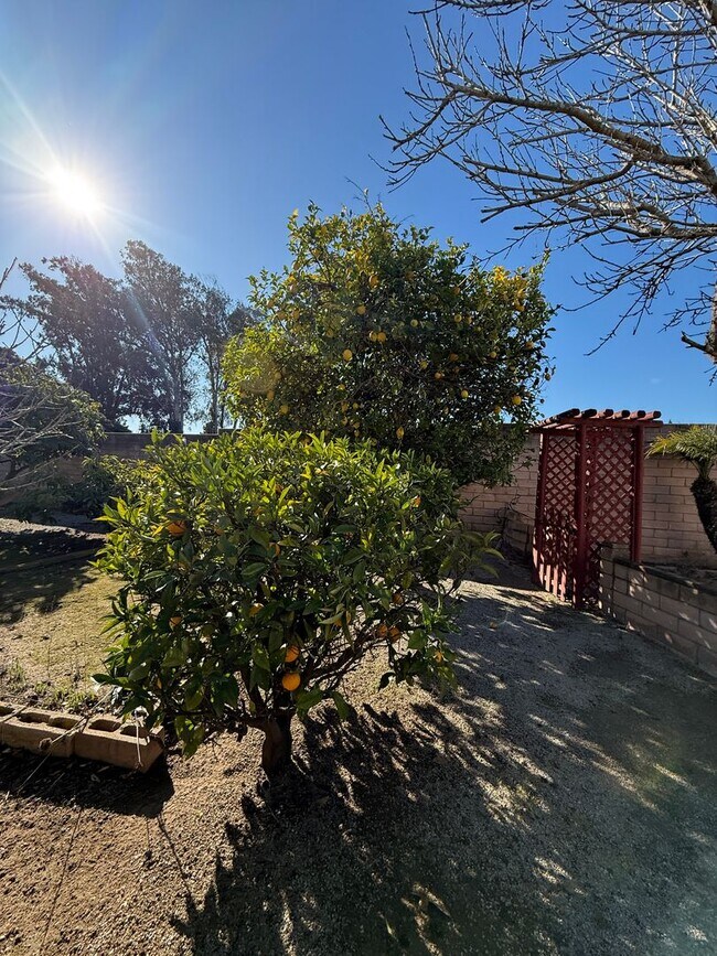 Building Photo - 2441 Iron Ridge Ct