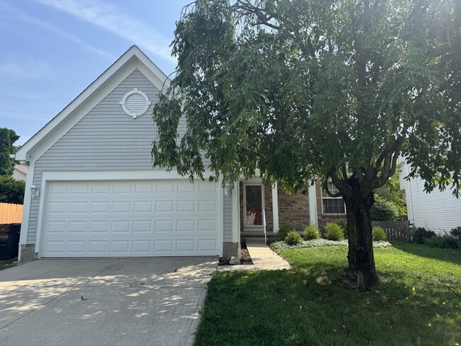 Primary Photo - 3608 Newell Dr