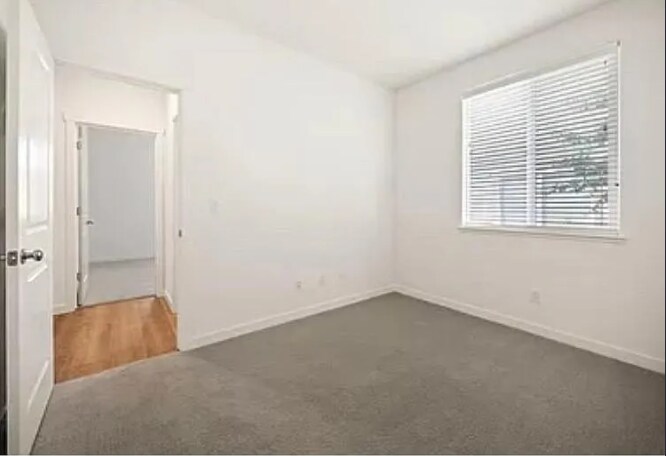 Building Photo - 536 Spyglass Cir