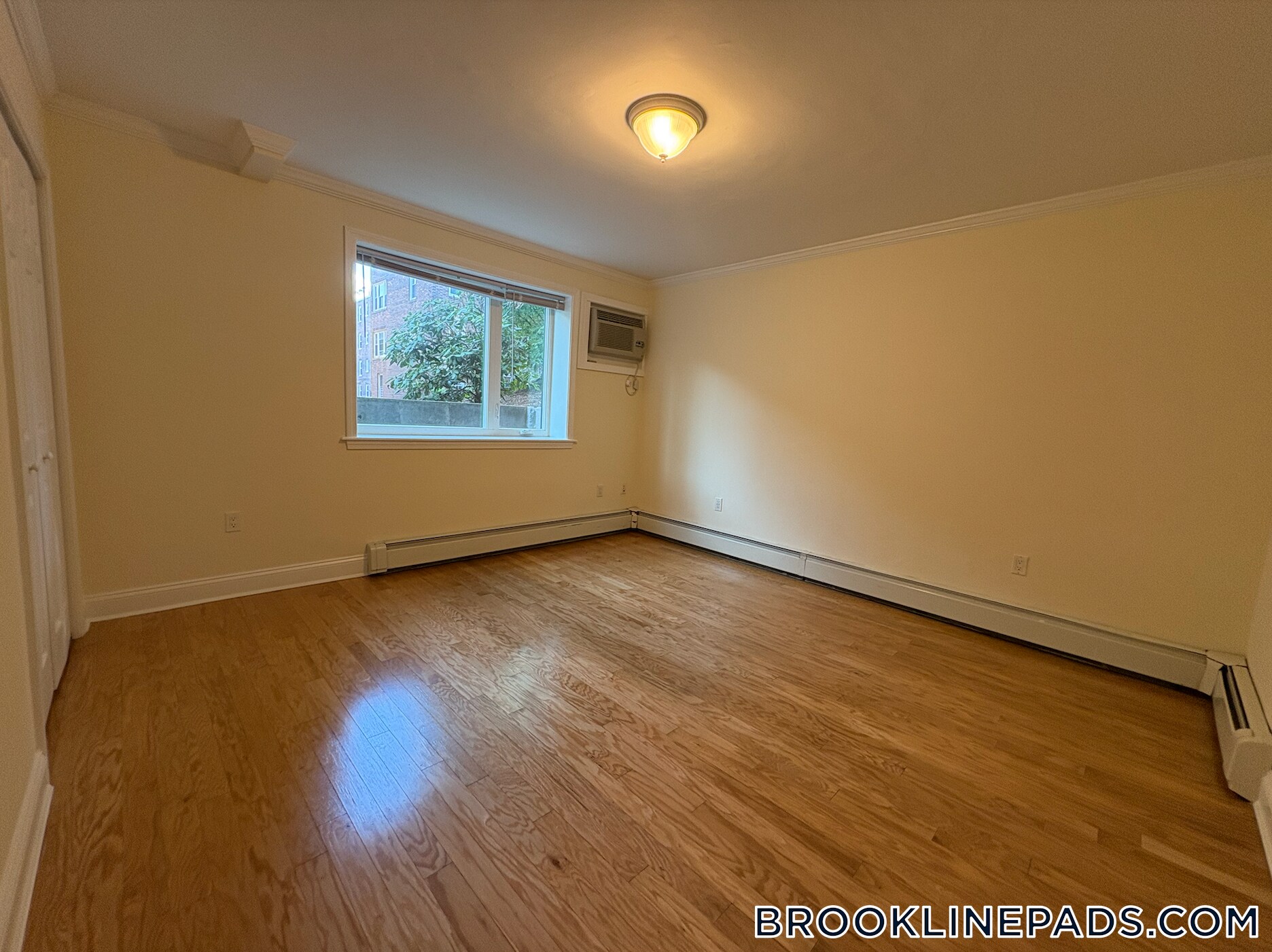 Building Photo - 50 Alton Pl