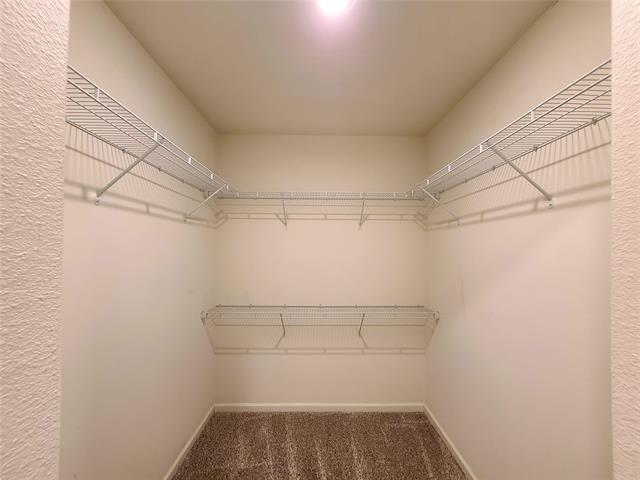 Building Photo - 104 Lady Bird Ct