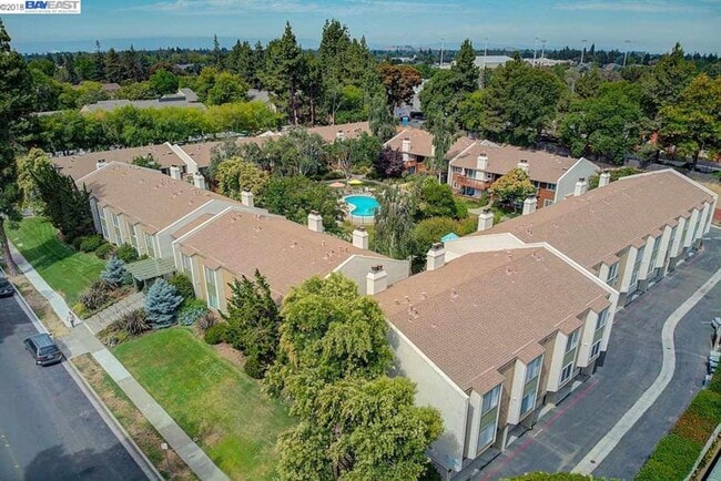 Building Photo - $2990 Stunning Remodeled 2BR/2BA Condo in ...