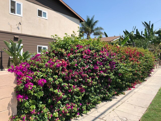 Building Photo - 1131 W Highland St