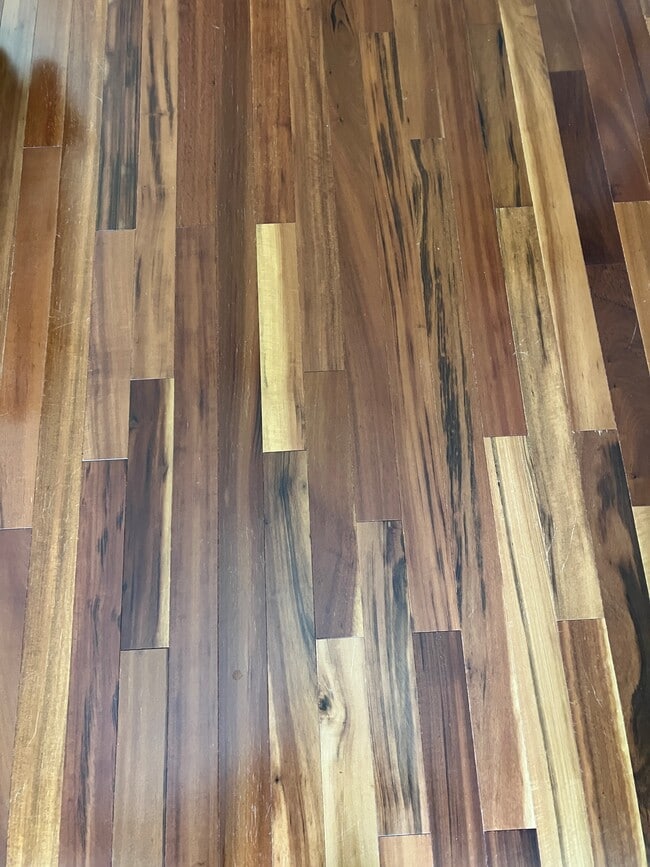 Building Photo - 11126 Windsor Place Cir