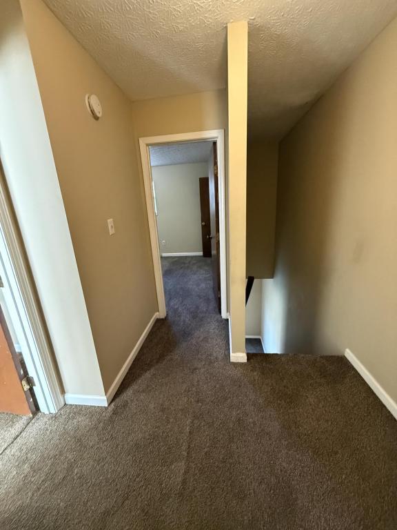 Building Photo - 1238 Clear Ridge Ln