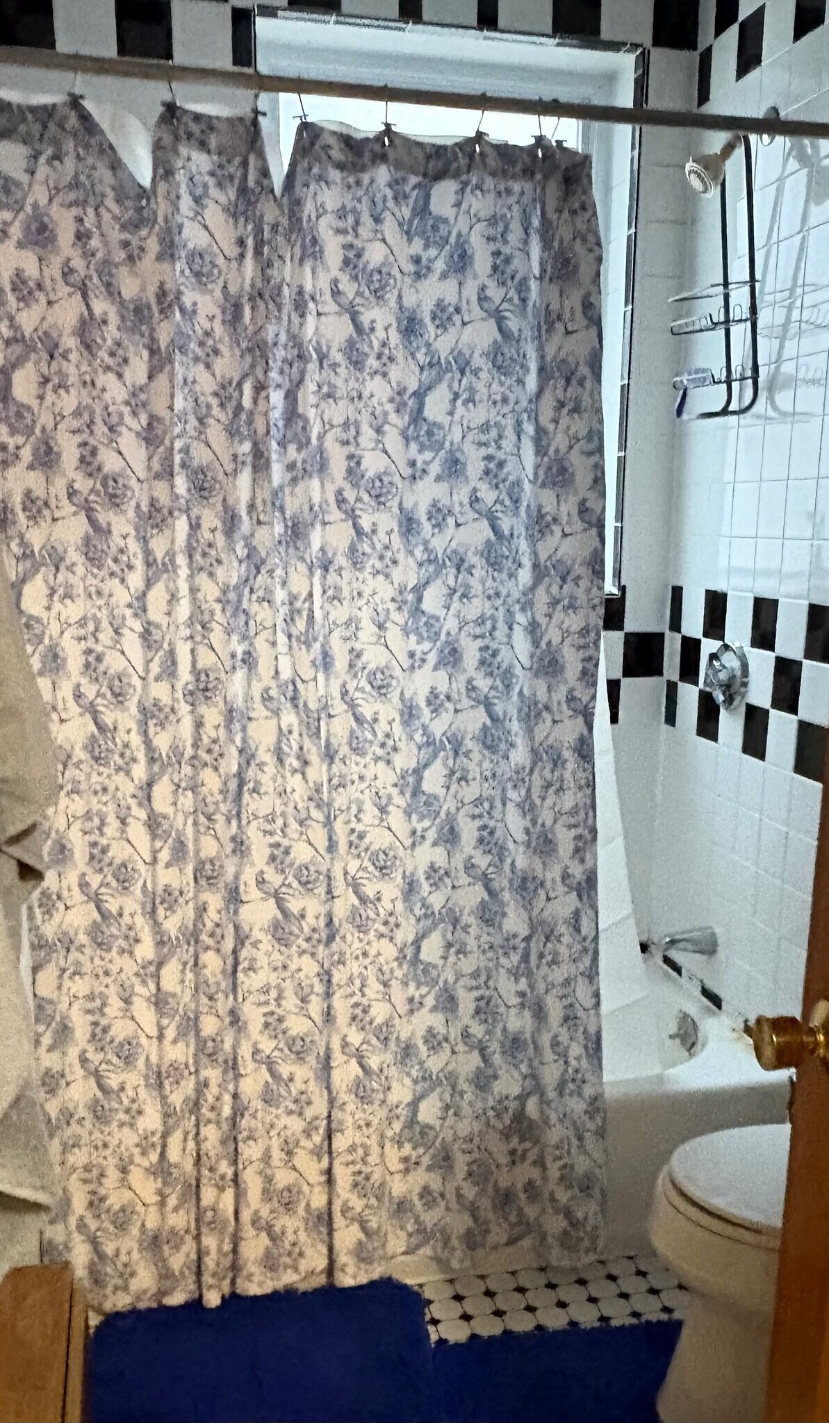 Building Photo - 1802 Massachusetts Ave