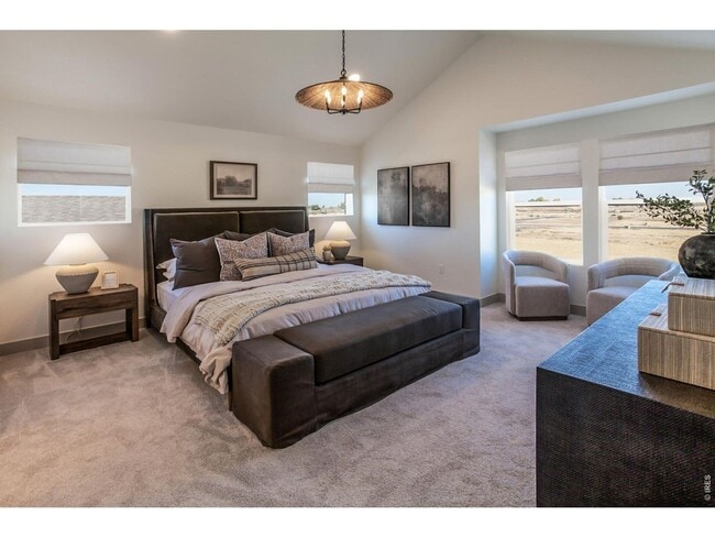 Building Photo - Newly constructed 4 Bed/2.5 Bath Single Family Home at Prairie Song in Windsor