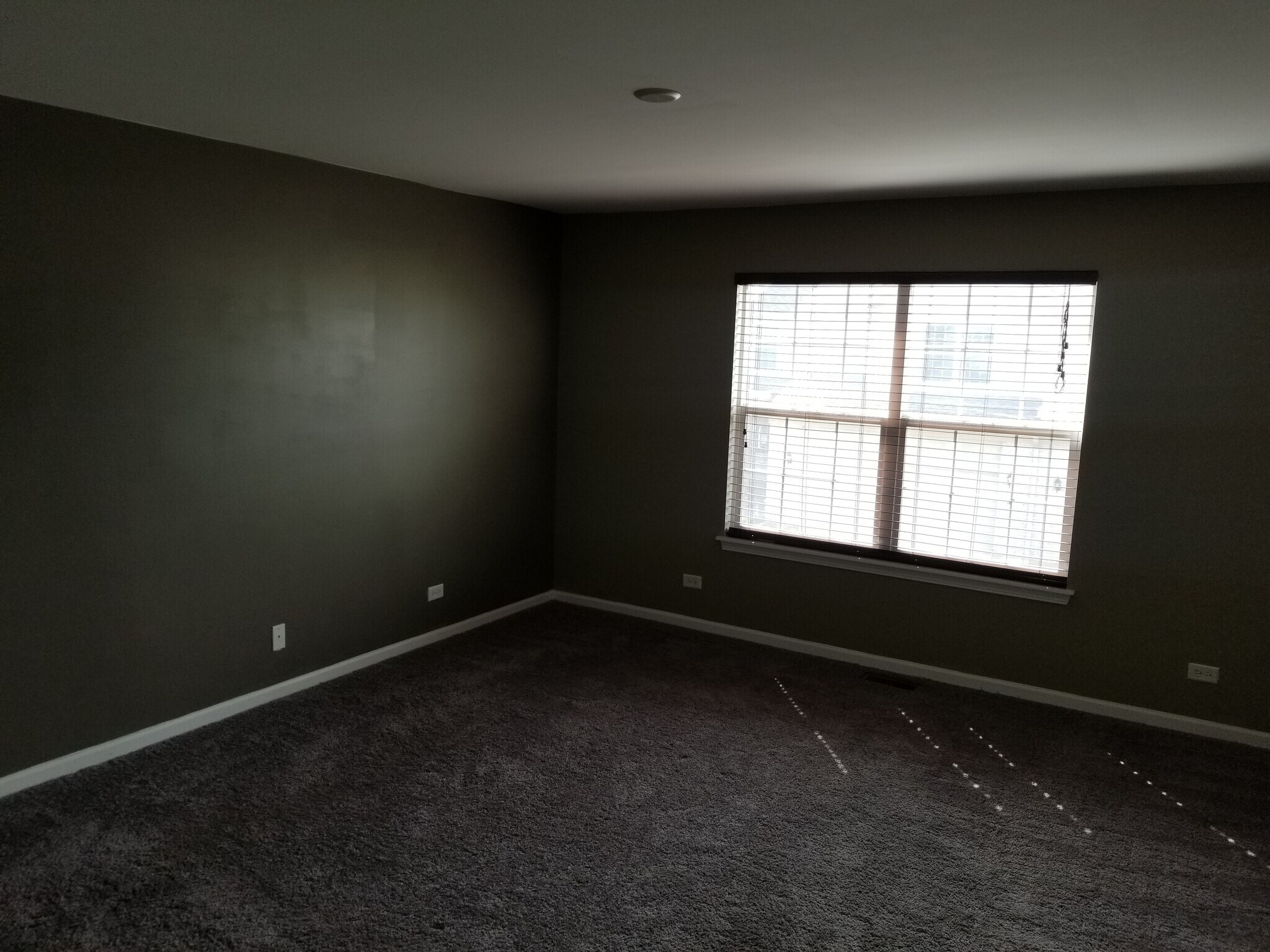 Building Photo - 1196 Megan Ct