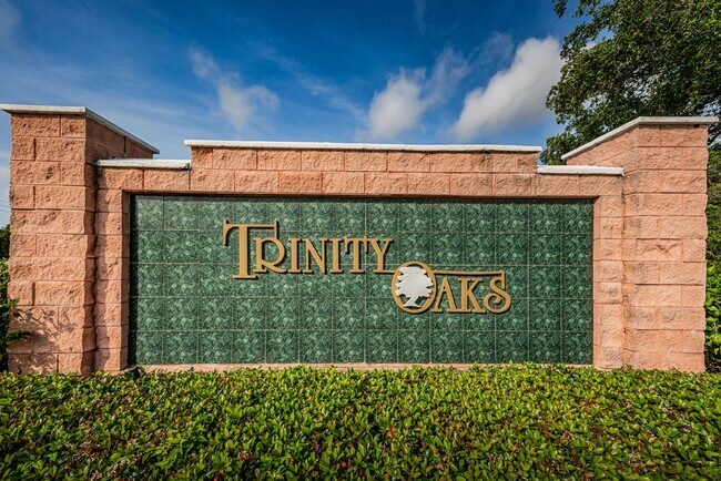 Building Photo - Pool Home in Trinity!