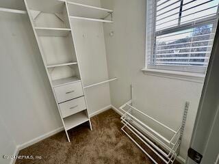 Building Photo - 838 Black Cherry Dr S