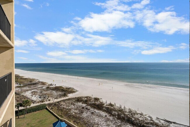 Building Photo - 24400 Perdido Beach Blvd