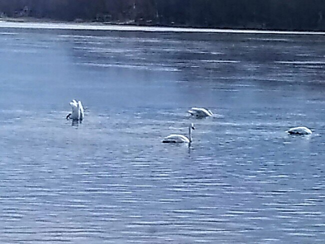 Building Photo - 21253 Lake George Blvd