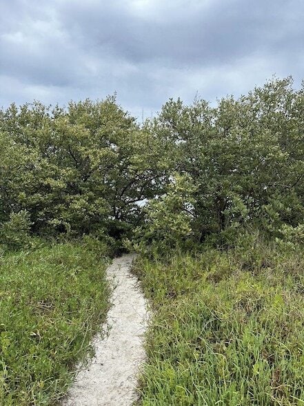 Building Photo - 1680 Asturias St