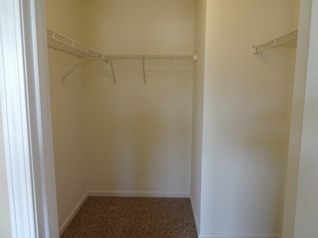 Building Photo - 1610 Thornwick Ter