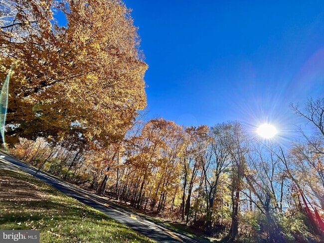 Building Photo - 1705 Mountainview Dr