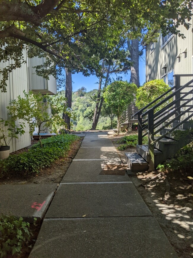 Building Photo - 105 Ascot Ct