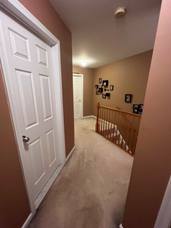 Building Photo - 8804 Spruce Mill Dr