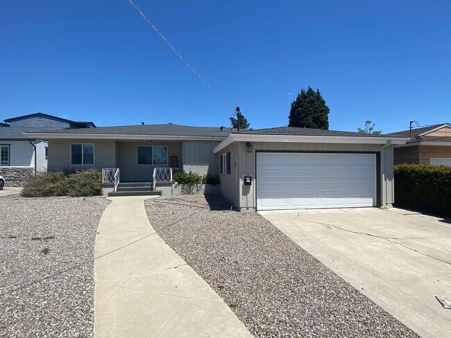 Primary Photo - HUGE House! Big Yard!