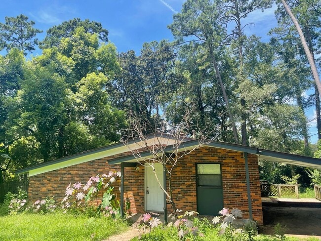 Primary Photo - Huge Fenced Yard & All Hard Flooring
