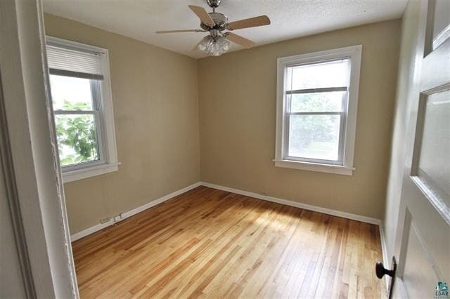 Building Photo - AVAILABLE JUNE - Beautiful 4 Bed 1 Bath Near UMD