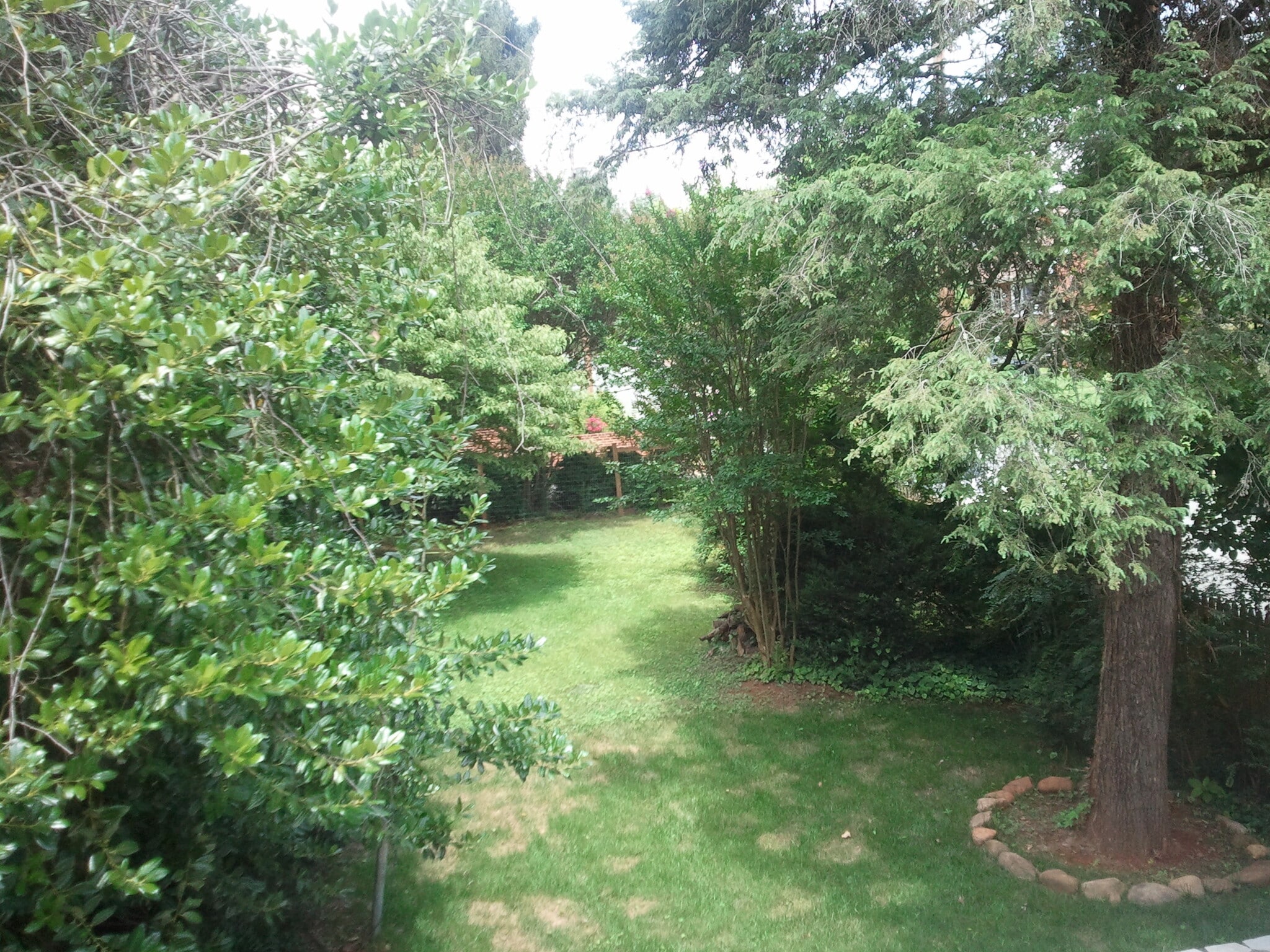 Building Photo - 1315 Poplar St