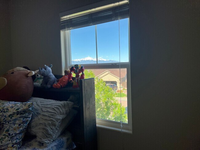 Building Photo - 4 Bedroom Home close to Peterson SFB