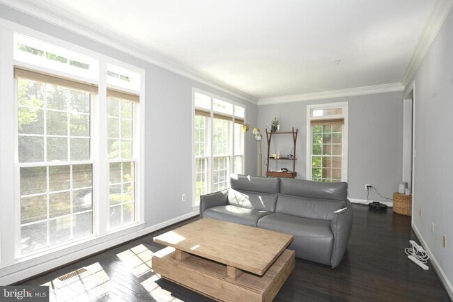 Building Photo - 556 Winding Rose Dr