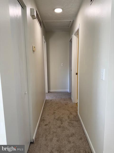 Building Photo - 204 Maryland Rd