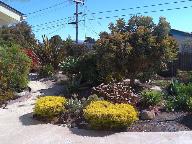 Building Photo - Sunset Terrace 3 bedroom, 2 bath house, 2 car garage in Los Osos
