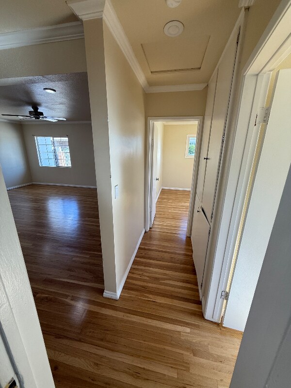 Building Photo - 1051 E Badillo St