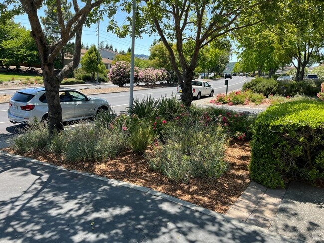 Building Photo - 443 San Marin Dr