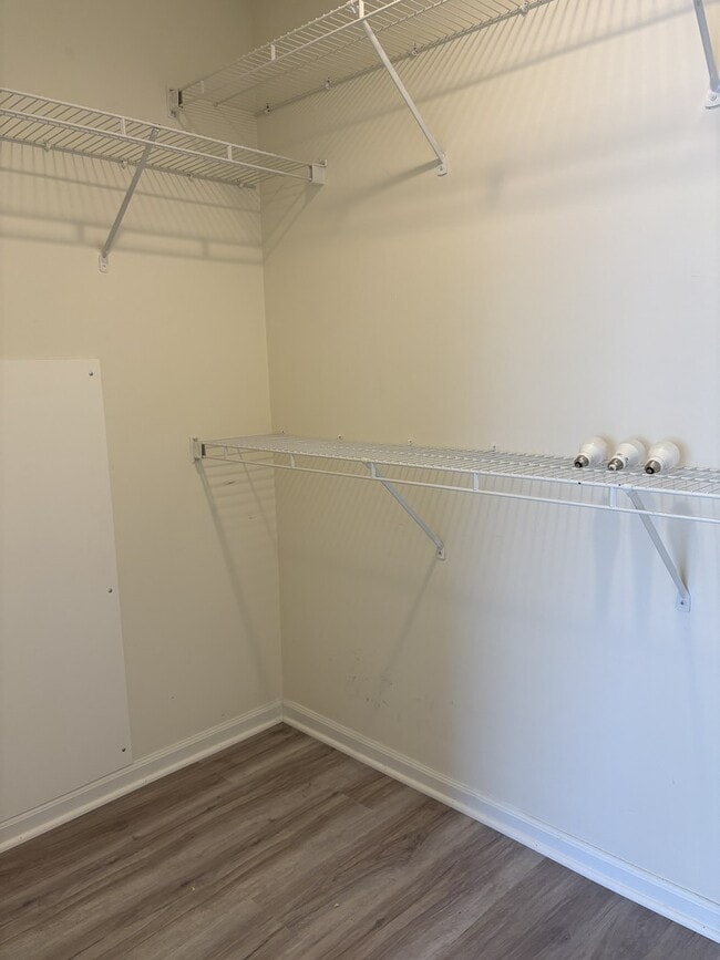 Building Photo - 711 Savannah Ln