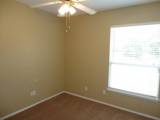 Building Photo - 4870 Lodgepole Ln
