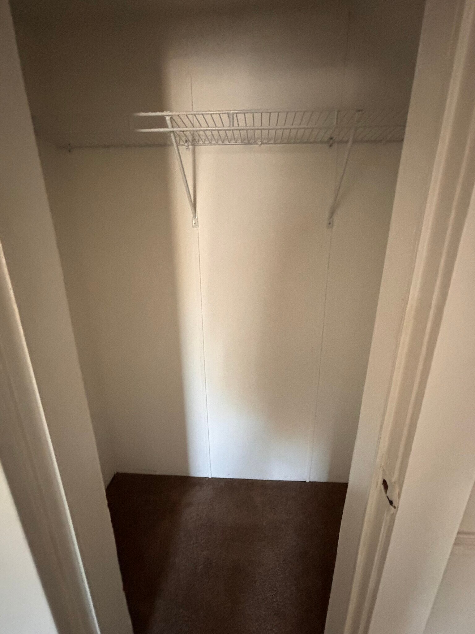 Bedroom 2 Closet - 307 Cleveland Ave