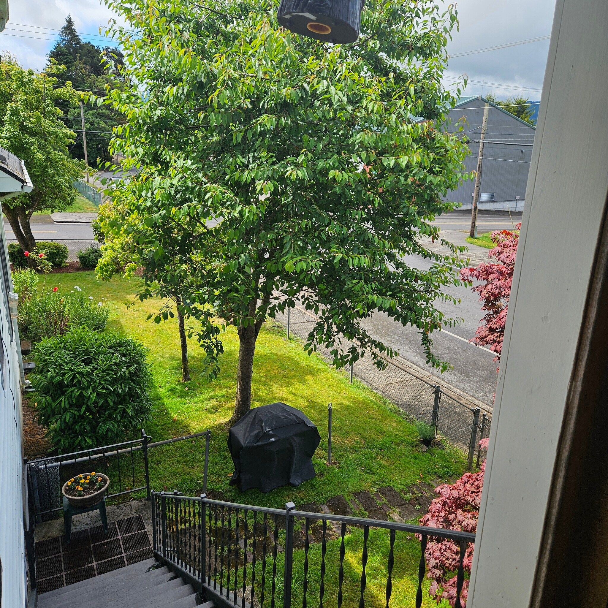 Yard - 180 2nd St