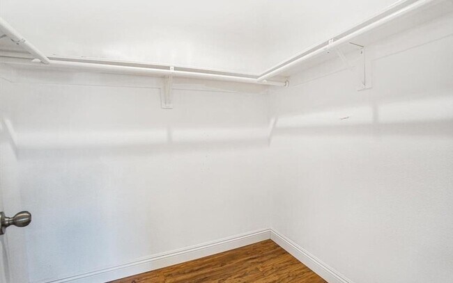 Building Photo - 24121 El Tiradore Cir