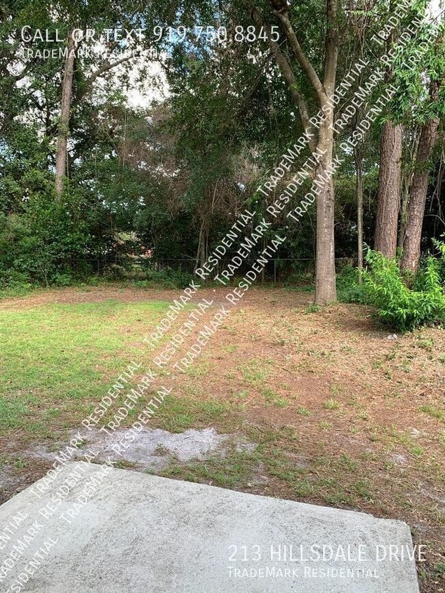 Building Photo - 213 Hillsdale Dr