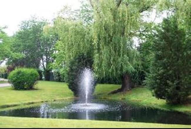 Grounds - 475 Plum Creek Dr