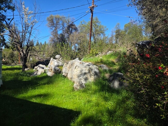 Building Photo - Historic Columbia Home Available for Flexible Lease Terms