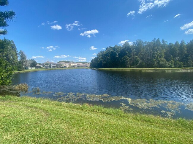 Building Photo - 5 BEDROOM HOUSE WITH PRIVATE POOL AND LAKE...