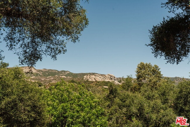Building Photo - 1149 Old Topanga Canyon Rd