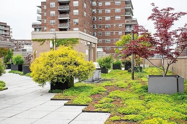 Building Photo - 260 W 26th St