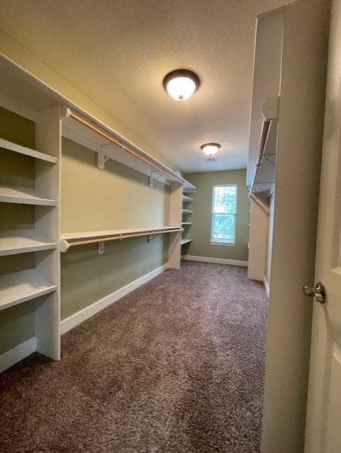 Building Photo - 15 Bluestem Ln