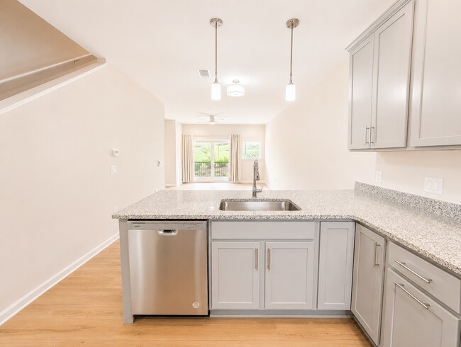 Building Photo - New Construction Downtown Asheville Townhouse!