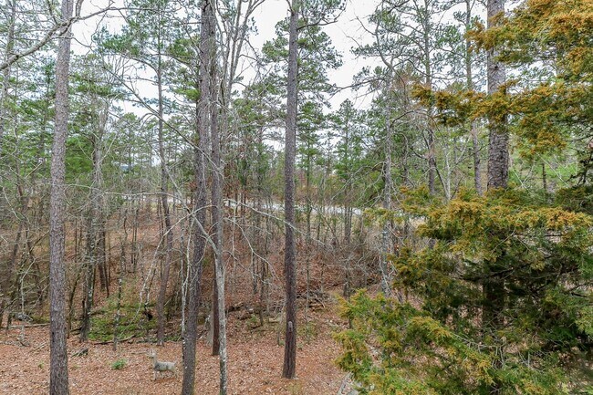 Building Photo - Beautiful 4 Bedroom, 3 Bath home. It has a 2 car garage plus a 1 car carport.  Stay warm in the w...