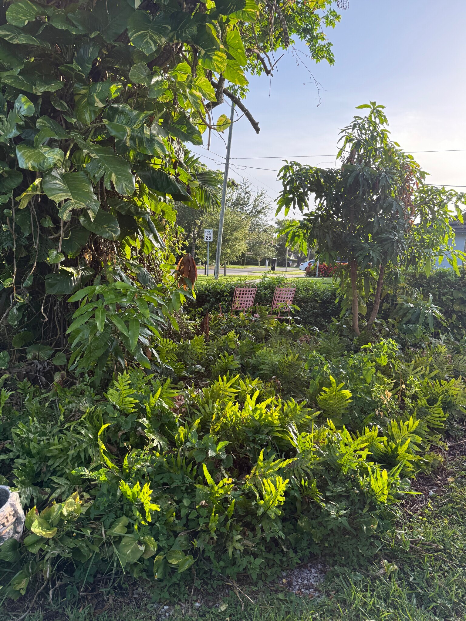 Garden - 3100 SW 62nd Ave