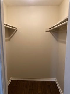 Building Photo - 4209 Christie Cir
